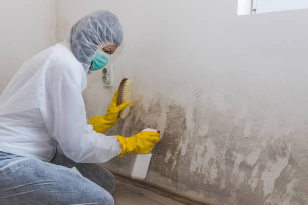 Crawl Space Mold Removal in Paola, KS