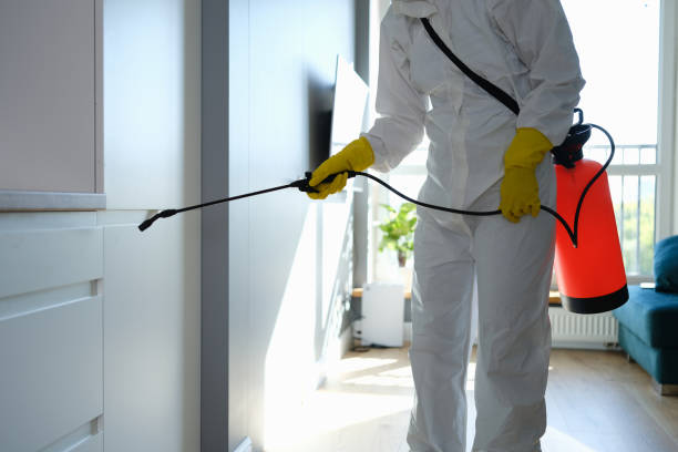 Best Emergency Mold Removal  in Paola, KS