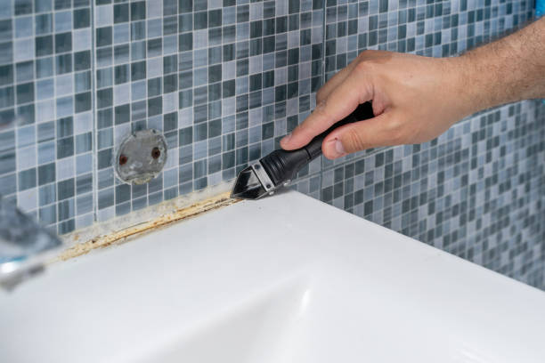  Paola, KS Mold Removal Pros